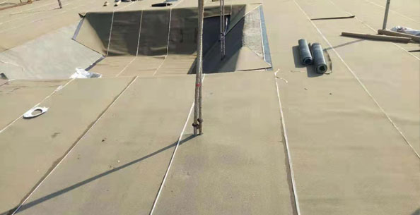 專(zhuān)業(yè)防水技術(shù)團(tuán)隊(duì)